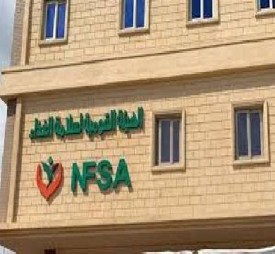 الهئية القومية لسلامة الغذاء : الصادارت الغذائية بلغت 285 الف طن والفواكة في الصدارة